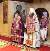 IMG_4460.JPG