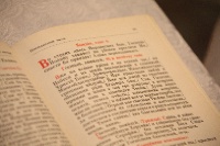IMG_1275
