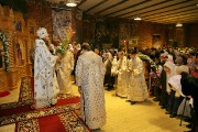 IMG_8210.JPG