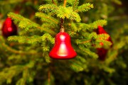 IMG_8223.JPG